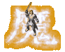 Soul-Shield.gif